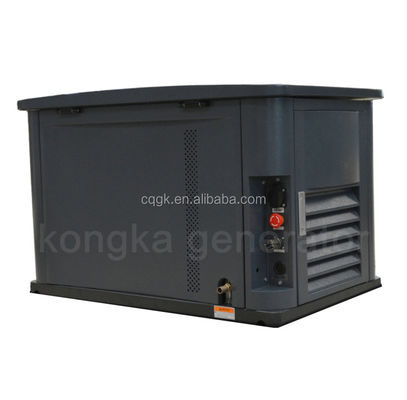 dual fuel substitute natural gas NG/liquid propane LPG soundproof silent generator 10kw 10kva 1230*760*770